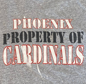 Phoenix Cardinals "Property of Cardinals" Grey T-Shirt