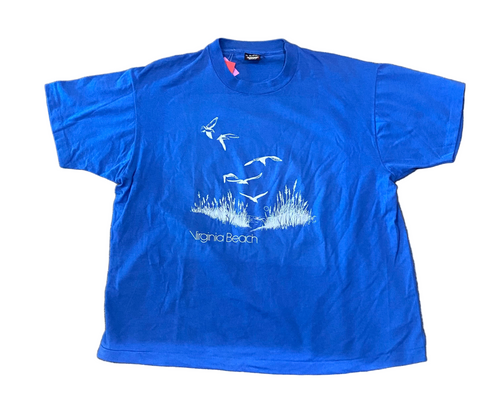 Vintage Virginia Beach, VA Birds Flying Blue T-Shirt
