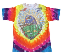 Load image into Gallery viewer, Vintage 1994 Grateful Dead Summer Tour tee