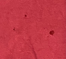 Load image into Gallery viewer, 1993 Florida State Seminoles National Champs Red T-Shirt