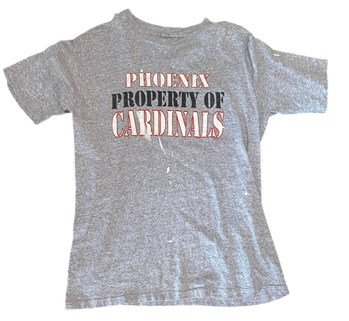 Phoenix Cardinals 