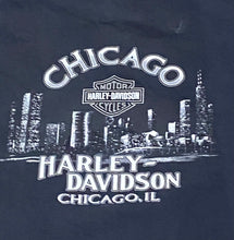 Load image into Gallery viewer, 2006 Harley Davidson Skull Chicago, IL Black T-Shirt