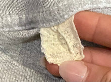 Load image into Gallery viewer, Vintage Binghamton Whalers Ice Hockey Grey T-Shirt