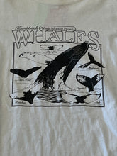 Load image into Gallery viewer, Vintage Humpback Whale Chart White T-Shirt