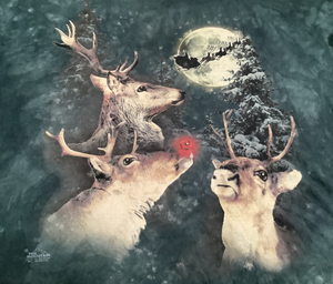 Rudolph and Reindeer T-Shirt