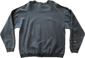 Disneyland light magic crewneck