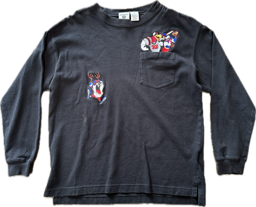 YOUTH embroidered looney Tunes long sleeve