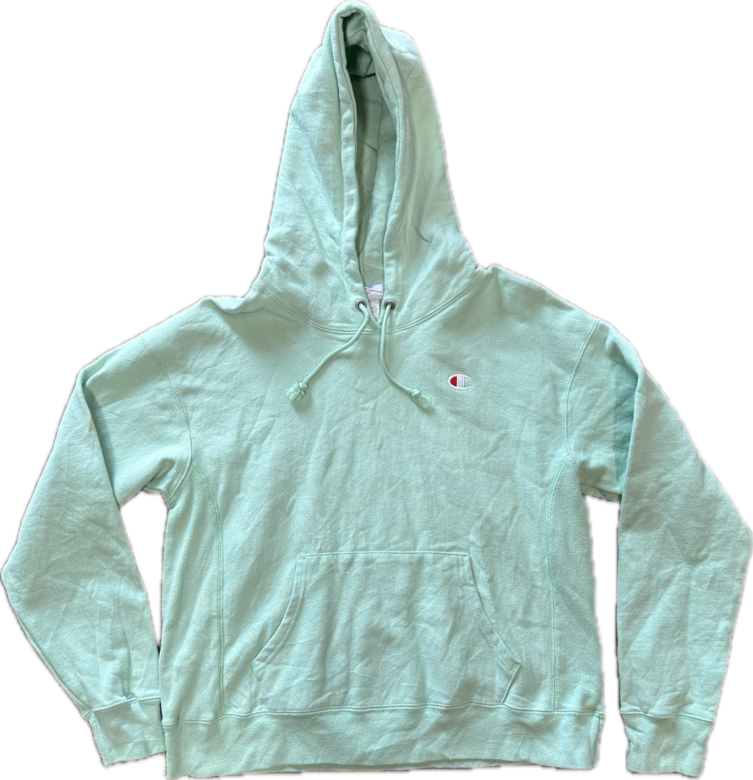Teal champion reverse weave hoodie