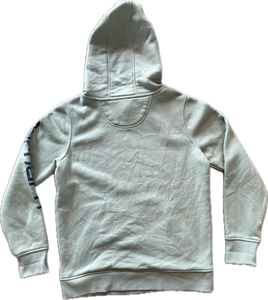 Light teal Carhartt hoodie ￼