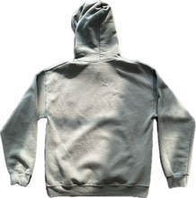 Load image into Gallery viewer, Buffalo river hoodie
