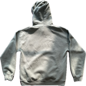 Buffalo river hoodie