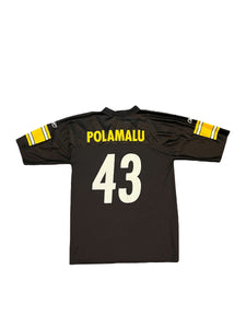 Troy Polomalu