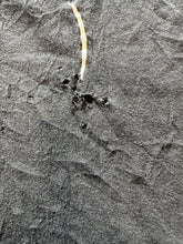 Load image into Gallery viewer, Donald Duck Tee￼