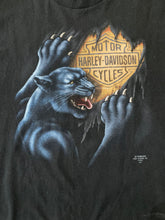 Load image into Gallery viewer, 1991 Harley Davidson 3D Emblem